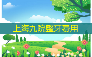 上海九院整牙费用