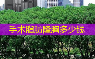 手术脂肪隆胸多少钱