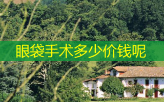 眼袋手术多少价钱呢