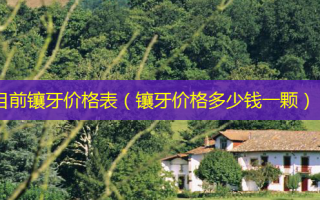 目前镶牙价格表（镶牙价格多少钱一颗）
