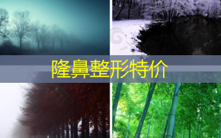 隆鼻整形特价
