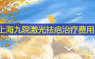 上海九院激光祛疤治疗费用