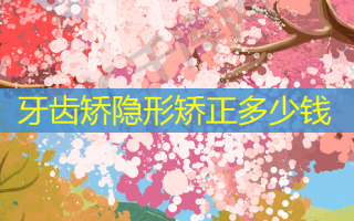 牙齿矫隐形矫正多少钱