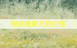 假体隆鼻术的价格