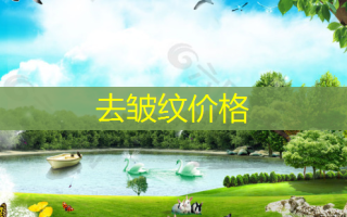 去皱纹价格