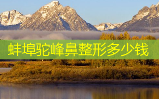蚌埠驼峰鼻整形多少钱