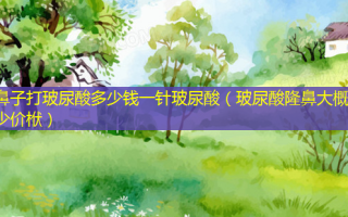 鼻子打玻尿酸多少钱一针玻尿酸（玻尿酸隆鼻大概多少价栿）