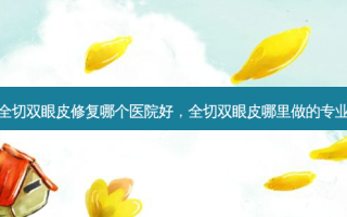 全切双眼皮修复哪个医院好，全切双眼皮哪里做的专业