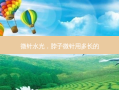 微针水光，脖子微针用多长的