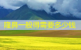 隆鼻一般得需要多少钱