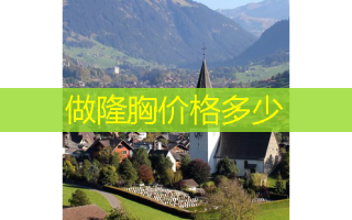 做隆胸价格多少