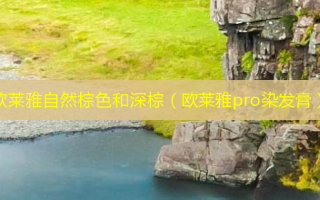 欧莱雅自然棕色和深棕（欧莱雅pro染发膏）