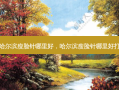 哈尔滨瘦脸针哪里好，哈尔滨瘦脸针哪里好打