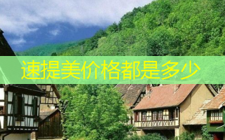 速提美价格都是多少
