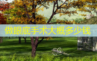 做眼底手术大概多少钱