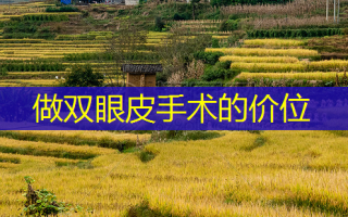 做双眼皮手术的价位