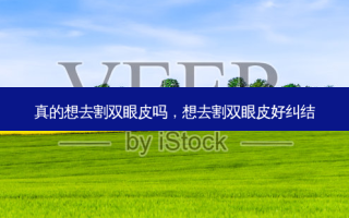 真的想去割双眼皮吗，想去割双眼皮好纠结