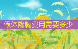 假体隆胸费用需要多少