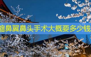 缩鼻翼鼻头手术大概要多少钱