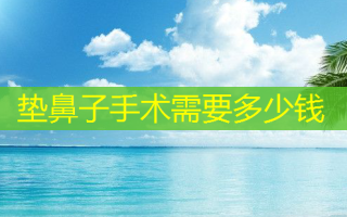 垫鼻子手术需要多少钱