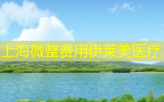 上海微整费用伊莱美医疗