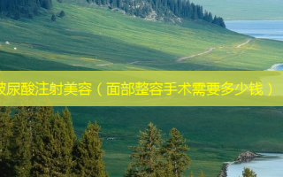 玻尿酸注射美容（面部整容手术需要多少钱）