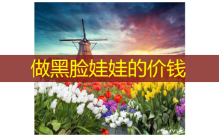 做黑脸娃娃的价钱