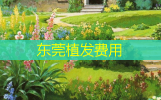 东莞植发费用