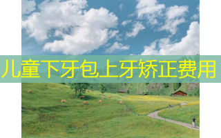 儿童下牙包上牙矫正费用
