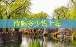 隆胸多少钱上海