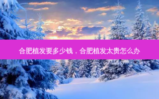 合肥植发要多少钱，合肥植发太贵怎么办