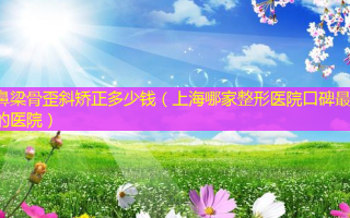 鼻梁骨歪斜矫正多少钱（上海哪家整形医院口碑 *** 好的医院）