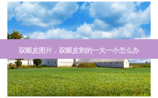 双眼皮图片，双眼皮割的一大一小怎么办