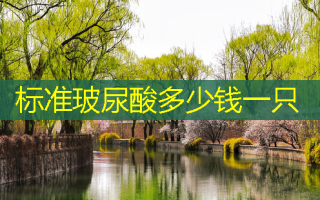 标准玻尿酸多少钱一只