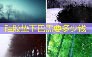 硅胶垫下巴需要多少钱