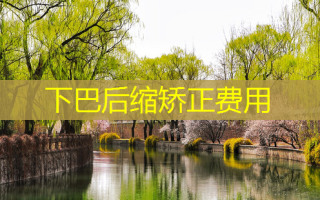 下巴后缩矫正费用