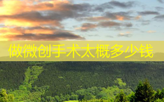 做微创手术太概多少钱