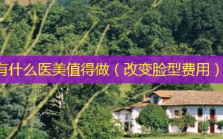 有什么医美值得做（改变脸型费用）
