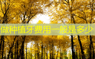 做种植牙费用一般是多少