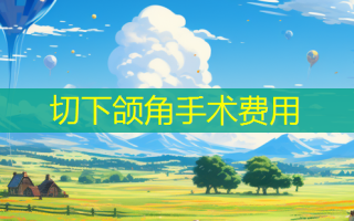 切下颌角手术费用