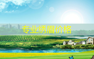 专业绣眉价格