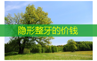 隐形整牙的价钱