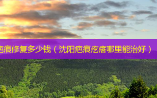 疤痕修复多少钱（沈阳疤痕疙瘩哪里能治好）