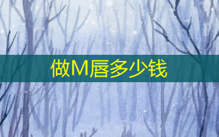 做M唇多少钱