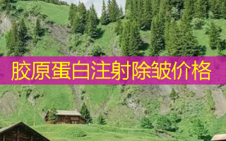 胶原蛋白注射除皱价格