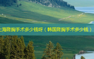 上海隆胸手术多少钱呀（韩国隆胸手术多少钱）
