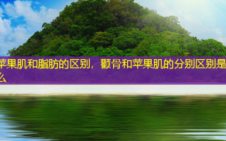 苹果肌和脂肪的区别，颧骨和苹果肌的分别区别是什么
