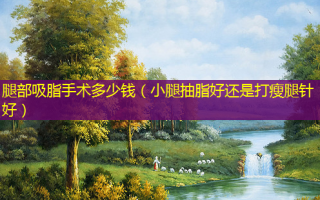 腿部吸脂手术多少钱（小腿抽脂好还是打瘦腿针好）