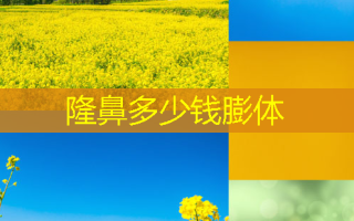 隆鼻多少钱膨体