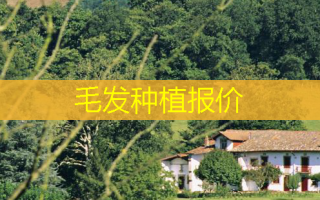 毛发种植报价
